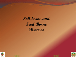 Soil borne and Seed Borne Diseases Next