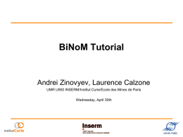 BiNoM Tutorial Andrei Zinovyev, Laurence Calzone Wednesday, April 30th