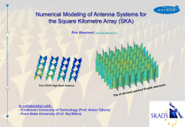 Numerical Modeling of Antenna Systems for the Square Kilometre Array (SKA)