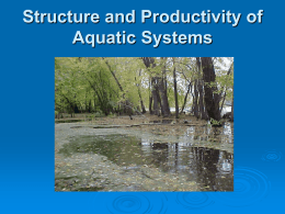 Structure and Productivity of Aquatic Systems