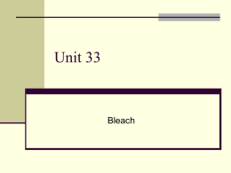 Unit 33 Bleach
