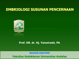 EMBRIOLOGI SUSUNAN PENCERNAAN Prof. DR. dr. Hj. Yanwirasti, PA BAGIAN ANATOMI