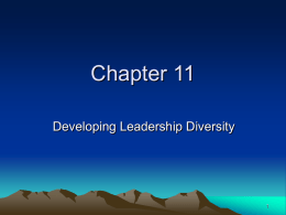 Chapter 11 Developing Leadership Diversity 1