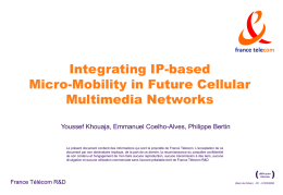 Integrating IP-based Micro-Mobility in Future Cellular Multimedia Networks