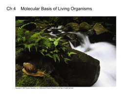 Ch 4    Molecular Basis of Living Organisms