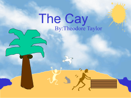 The Cay By:Theodore Taylor