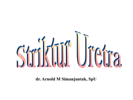 dr. Arnold M Simanjuntak, SpU