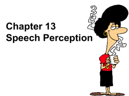 Chapter 13 Speech Perception