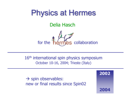 Physics at Hermes Delia Hasch