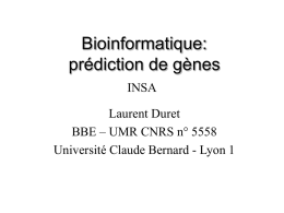 Bioinformatique: prédiction de gènes INSA Laurent Duret