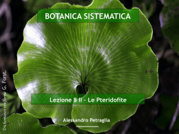 BOTANICA SISTEMATICA Lezione 8 II – Le Pteridofite Alessandro Petraglia t.