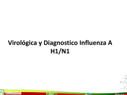 Virológica y Diagnostico Influenza A H1/N1 SALUD