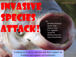 invasive species Attack! Looking at invasive species and their impact on