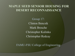 Group 17: FAMU-FSU College of Engineering Clinton Bencsik Mark Brosche