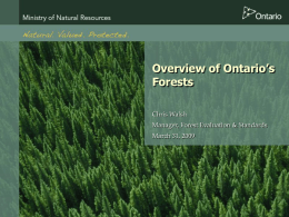 Overview of Ontario’s Forests Chris Walsh Manager, Forest Evaluation &amp; Standards