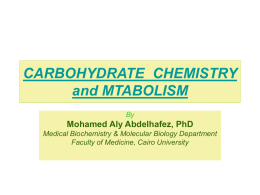 CARBOHYDRATE  CHEMISTRY and MTABOLISM Mohamed Aly Abdelhafez, PhD By