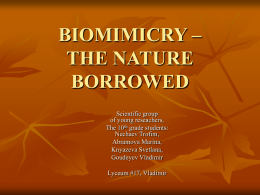 BIOMIMICRY – THE NATURE BORROWED