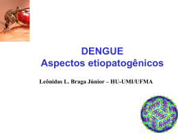 DENGUE Aspectos etiopatogênicos Leônidas L. Braga Júnior – HU-UMI/UFMA