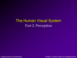 The Human Visual System Part 2: Perception Imaging Science Fundamentals
