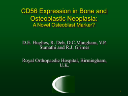 CD56 Expression in Bone and Osteoblastic Neoplasia: