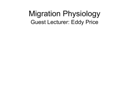Migration Physiology Guest Lecturer: Eddy Price