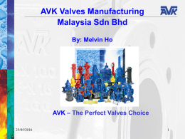 AVK Valves Manufacturing Malaysia Sdn Bhd By: Melvin Ho AVK