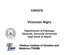 cancro Vincenzo Nigro