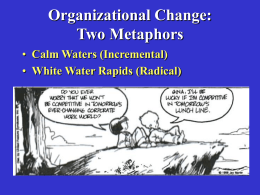 Organizational Change: Two Metaphors Calm Waters (Incremental) White Water Rapids (Radical)