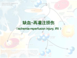 缺血-再灌注损伤 （Ischemia-reperfusion injury, IRI ）