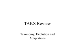 TAKS Review Taxonomy, Evolution and Adaptations