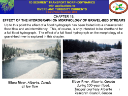 CHAPTER 19: EFFECT OF THE HYDROGRAPH ON MORPHOLOGY OF GRAVEL-BED STREAMS