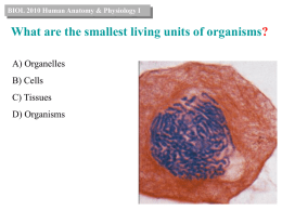 What are the smallest living units of organisms ? A) Organelles B) Cells