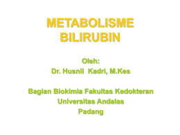METABOLISME BILIRUBIN Oleh: Dr. Husnil  Kadri, M.Kes
