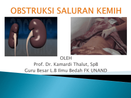 OLEH Prof. Dr. Kamardi Thalut, SpB
