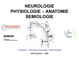 NEUROLOGIE – ANATOMIE PHYSIOLOGIE SEMIOLOGIE