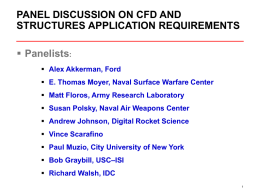 PANEL DISCUSSION ON CFD AND STRUCTURES APPLICATION REQUIREMENTS Panelists