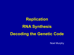 Replication RNA Synthesis Decoding the Genetic Code Noel Murphy