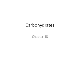 Carbohydrates Chapter 18