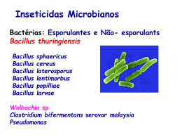 Inseticidas Microbianos Bactérias: Esporulantes e Não- esporulants Bacillus thuringiensis
