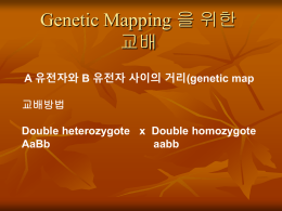 Genetic Mapping 을 위한 교배