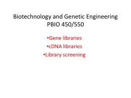 Biotechnology and Genetic Engineering PBIO 450/550 •Gene libraries •cDNA libraries
