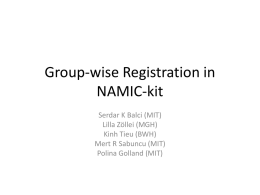 Group-wise Registration in NAMIC-kit Serdar K Balci (MIT) Lilla Zöllei (MGH)