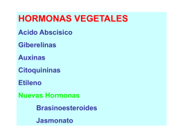 HORMONAS VEGETALES Acido Abscisico Giberelinas Auxinas