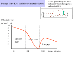 Pompe Na+-K+: inhibiteurs métaboliques