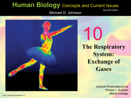 10 Human Biology The Respiratory System: