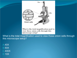 What is the total magnification used to view these onion... this microscope setup? 40X 50X