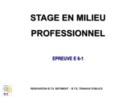 STAGE EN MILIEU PROFESSIONNEL EPREUVE E 6-1