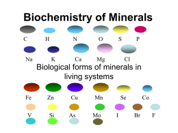Biochemistry of Minerals Biological forms of minerals in living systems P