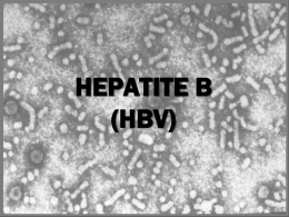 HEPATITE B (HBV)