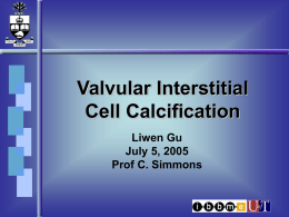 Valvular Interstitial Cell Calcification Liwen Gu July 5, 2005
